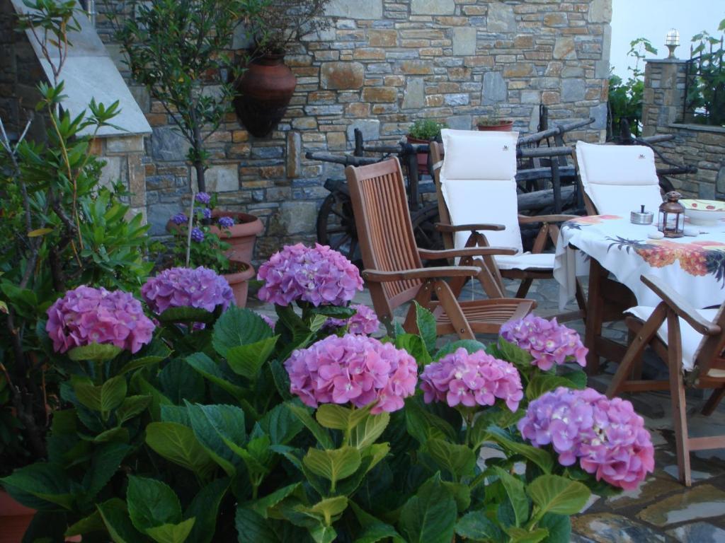 Muses Country House Zagora Extérieur photo